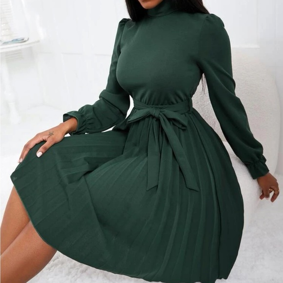 Luxe turtleneck flounce sleeve pleated dress - Picture 8 of 16